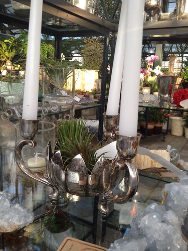 vintage planter with air plant candelabra