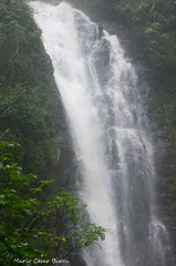 Ipeuna- trajeto das cachoeiras passa cinco