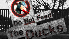 Beware the Ducks!!!
