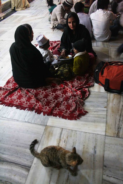 Mission Delhi – Billi, Hazrat Nizamuddin Dargah