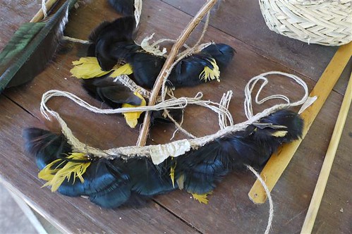 原住民利用鳥羽作成的裝飾品。