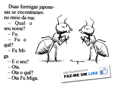 entre duas formigas japonesas - humor