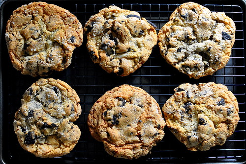 Salted Cookies and Cream Cookies
