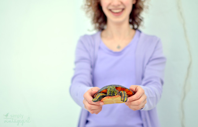 Handmade Turtle
