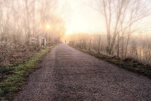 Morning stroll (HDR) by eFRAME.co.uk