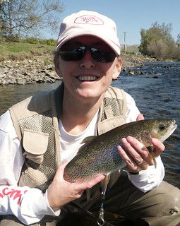 Beautiful rainbow trout