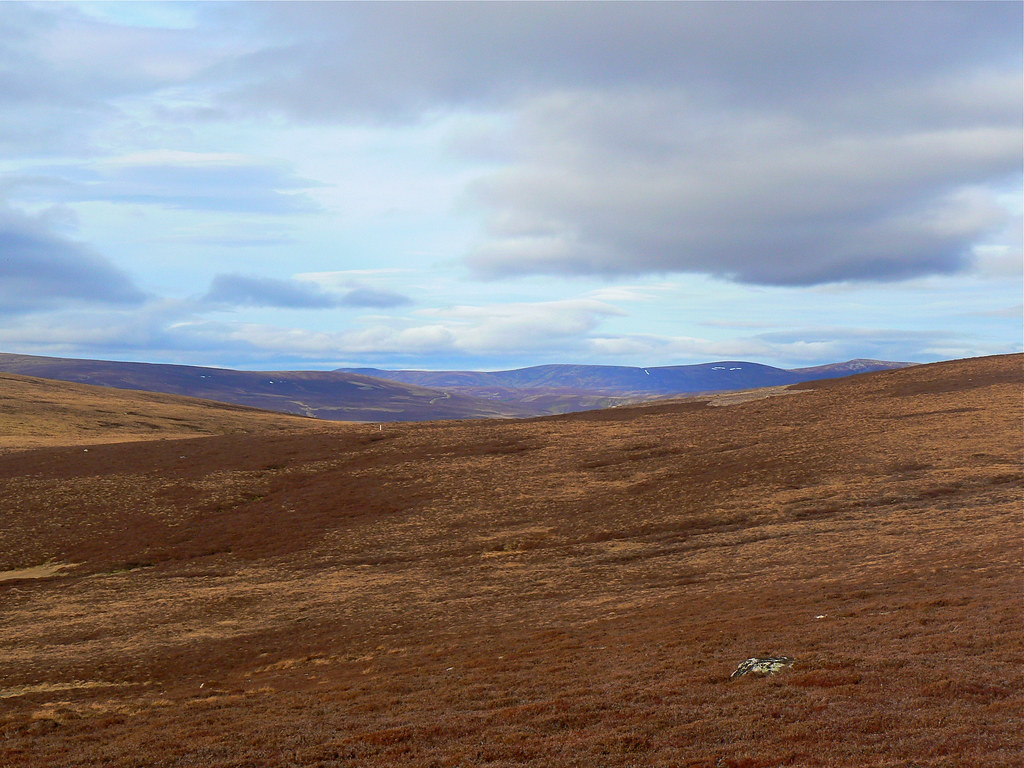 Heather hills near Tomintoul