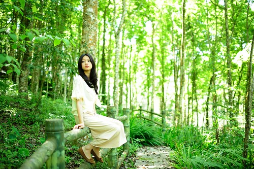 無料写真素材|人物|女性アジア|人物森林|台湾人