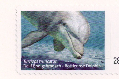 Dolphin Stamp Ireland