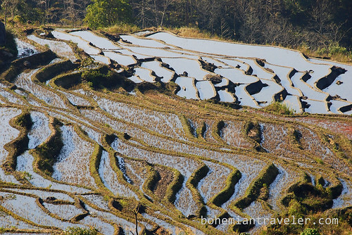 Yuanyang Rice Terraces around Xinjie China 7