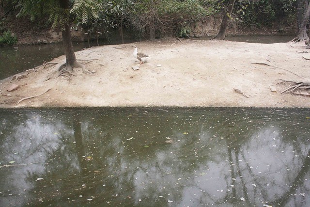 City Hangout – National Zoological Park, Mathura Road