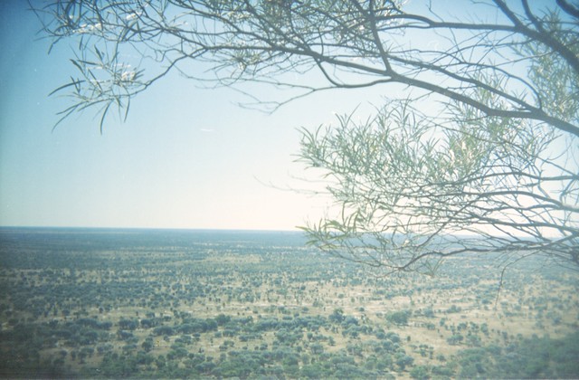 Outback landscape