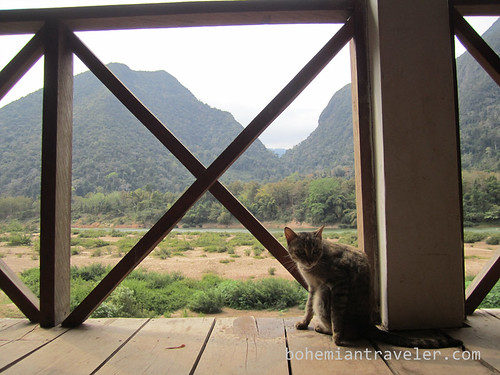 cat view from our  bungalow in Muang Ngoi