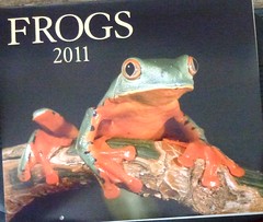 Firefly Books - Frogs 2011 by KenCalvino