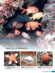 「藍海綠洲－東沙海洋篇」內頁。東沙環礁海洋生態擁有豐富且多樣的海 洋生物資源。