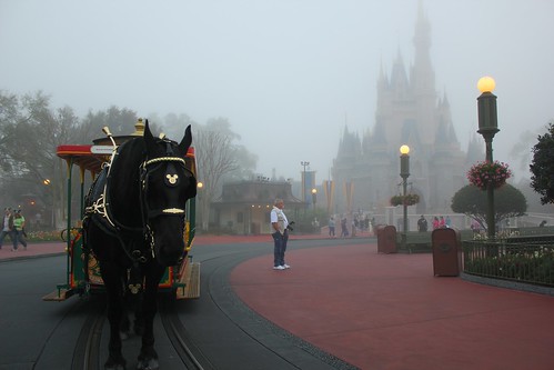 Foggy Cinderella Castle - One More Disney Day