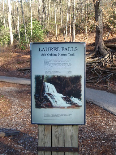 Laurel Falls trail