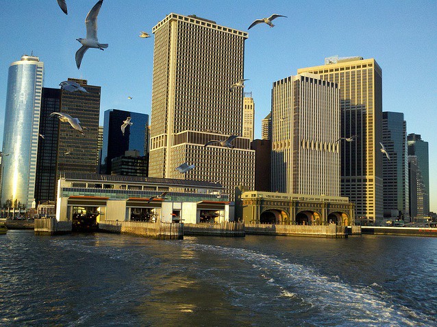 Staten Island Ferry seagulls
