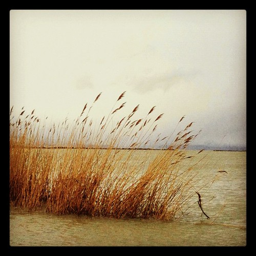 Wind On Water by Suzette ~ desertskyblue ~ Offline