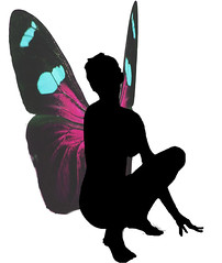 Butterfly wings in artwork
