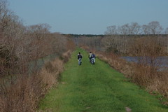 Riding on the Dike