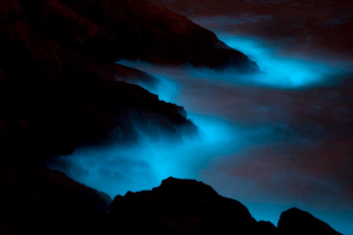馬祖「藍眼淚」星沙奇景，海面發出幽幽藍光。（顧哲嘉攝）