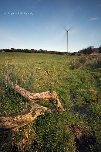 Wind Power by Dave Brightwell