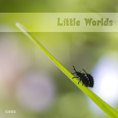 Little worlds