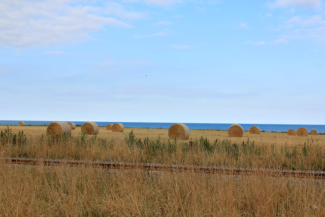 Hay bales and the ocean