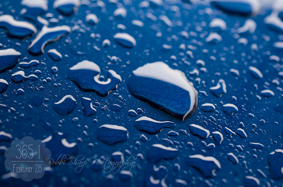 059 | 366 {Rainy Day Blues}