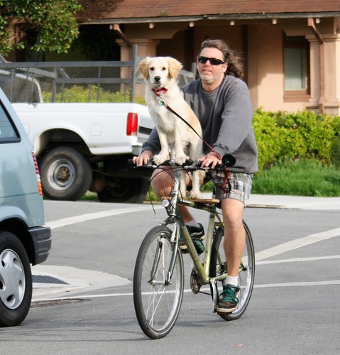 Dog rides a bike