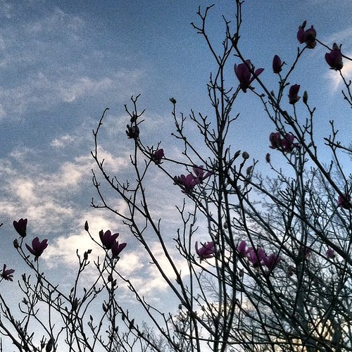 Signs of life #marchphotoaday #up