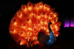 元宵燈會(Hong Kong)Lantern Carnival Feb 5-6, 2012