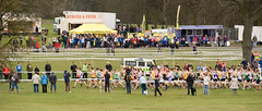 Inter-Counties Cross-Country Championships 2012