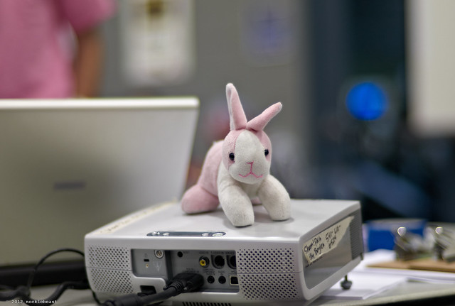 NSO bunny on top of projector