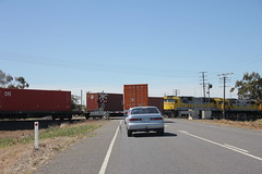 Train blocking the road