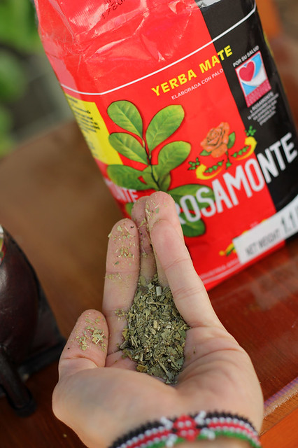 Digging my hand into the yerba mate leaves