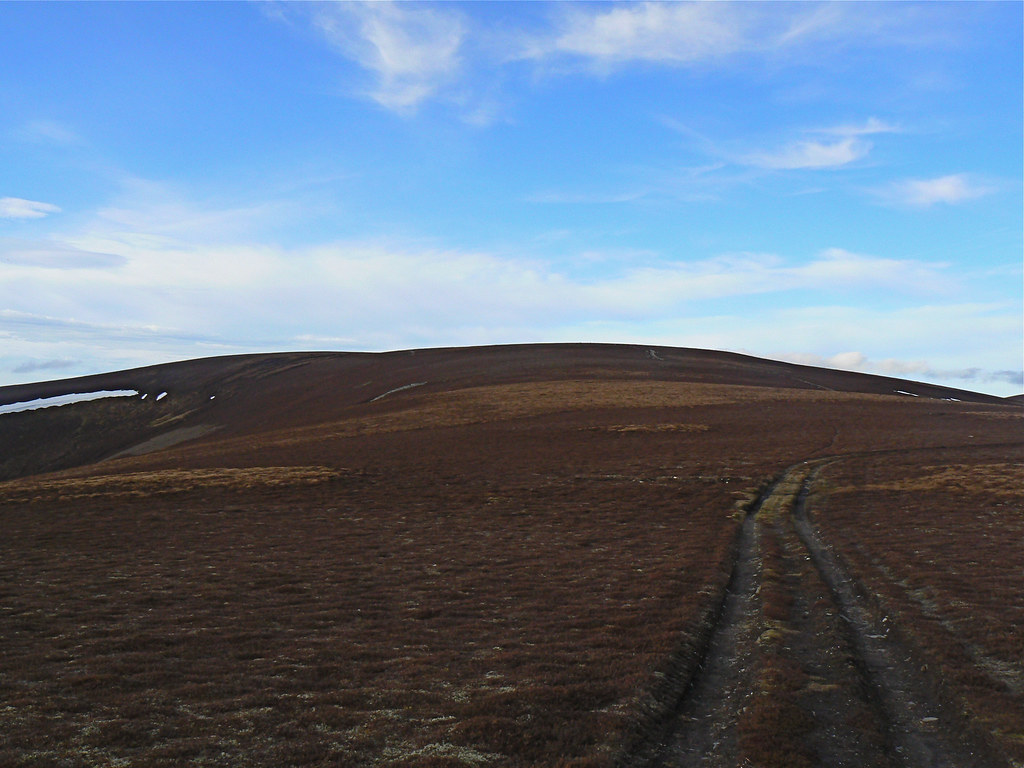 The southeastern slopes of Carn Ealasaid