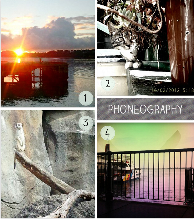 Phoneography