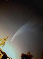 Comet McNaught - the great comet of 2007