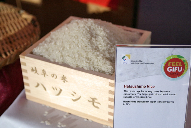 Hatsushimo Rice from Gifu