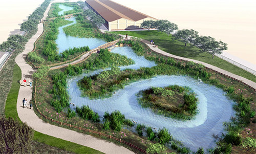 rendering of the wetland when mature (by: City of LA stormwater program, via KCET-TV)