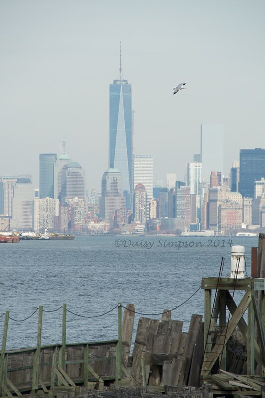 NYC D1 ferry_liberty-16