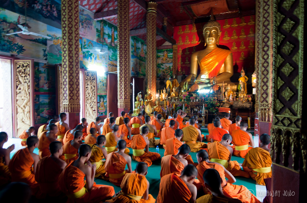 Monk praying session in the temple in Luang Prabang Laos