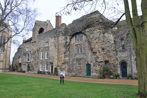 Houses built into the Abbey ruins