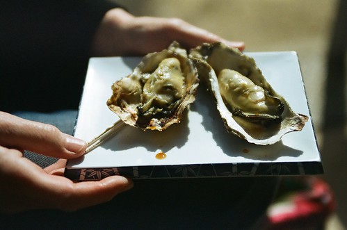 oysters.