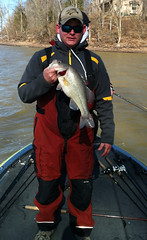 Nice Kentucky Lake Bass