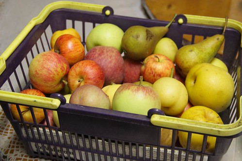 Various Apple & Pear Harvested