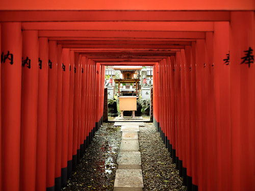 Hakumaiinari shrine by hyossie