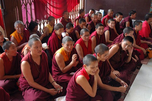 Tibetan Buddhist nuns listening, vow takers in maroon, red, and orange, Sakya Lamdre, Tharlam Monastery porch, Boudha, Kathmandu, Nepal by Wonderlane